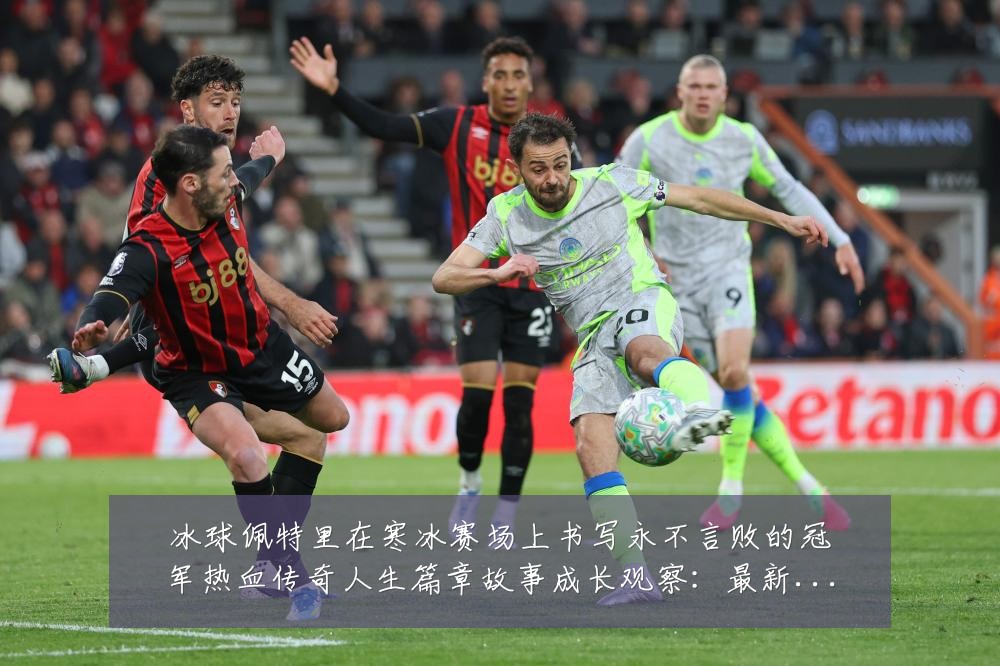 冰球佩特里在寒冰赛场上书写永不言败的冠军热血传奇人生篇章故事成长观察:最新赛事动态与深度分析